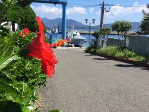 34D5B315-ECC6-4CCE-B8AF-52CB8EC67243