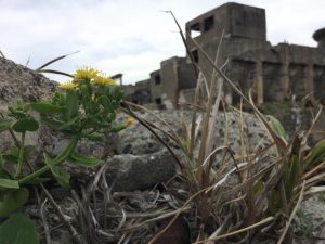 4296EF86-E64C-4D1B-B46A-219DC2C3E518