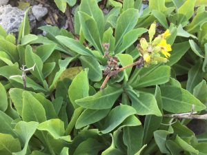 5DFC2DF7-A78E-4DE6-AE92-5036FCF1FB7E