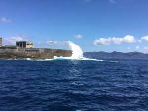 5F0168BF-561C-4A13-9A19-6A78CDC9D932