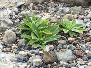 6E74AA68-B56C-495F-ADA9-6BE92D571340