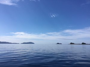 A30B0904-73DD-4852-A360-E65C118EE046