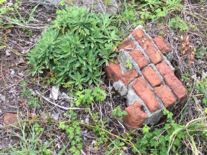 B5F72821-7298-42BC-9C2D-F46B13739AD9