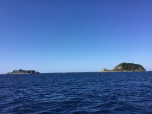 C414965D-4CEE-4482-9FB6-B1AE6BA1FB5D