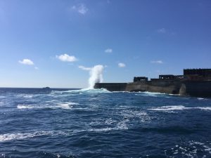 EF921E16-9B30-4F80-8C88-37A2BF8EBF70