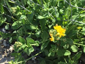 1ECE2A9A-9379-40A8-9F22-C793C23E70ED