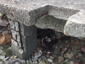 330E86AD-EE29-4D0C-9385-46DB90CD5EA4