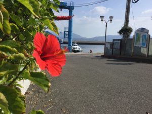 554FFEA4-1169-45B8-9666-F83B9EB0ACE1