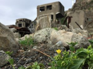 60D7871F-C8B4-46CF-BD6A-6E40554493A8