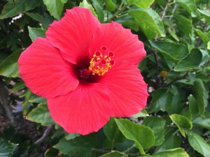 6198EF5F-C572-49B2-B73A-B25FB1F56951