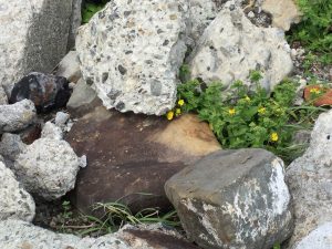 902D54BD-2C52-4E51-A691-E7E476FECB4A