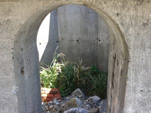 A1CC8025-EAB6-46FB-9AEC-15428042E660