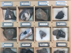 AF625F22-47C8-4845-A44F-2ADB1F1A8989