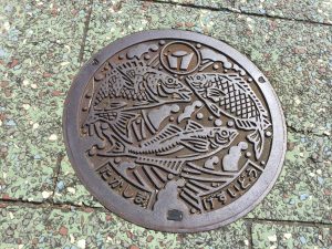 F007E687-4924-4F3F-8FF8-4DF7BA164DE4