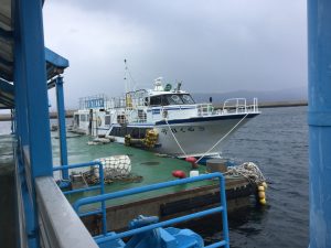 F3C1EB47-F826-48EE-90D4-DC5DDB143AEC