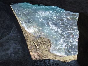 F79DF945-271E-4ACF-9F1C-75CE33897E76