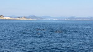 132EB876-6D16-4BC4-9D94-C8CD925177FB