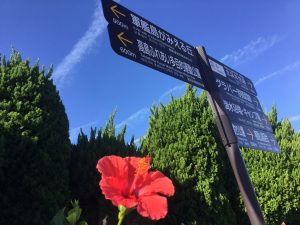 166CDC70-A1B5-47AA-85AA-798A17561683