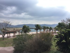 271EA010-850D-4D33-BB0E-344F45B85409