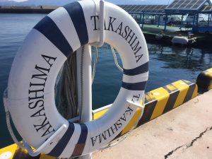 29B29A59-2426-4701-9F62-42FC0A3F4C53