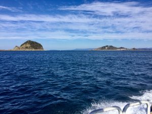 63A8D5FE-FDB3-4749-877A-B7E3A5786885