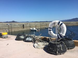 8C53886F-C17B-4019-8883-A76674C42AB9