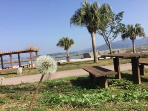 97C1B9FD-5E26-4A1F-934D-8DF09EDEC2C7