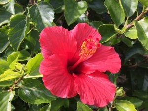 B0E20E4A-98A0-4077-B7D1-346ACC4F042B