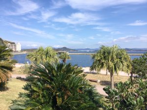 D29275F0-3ABC-44D1-B3BF-21793C111FD9