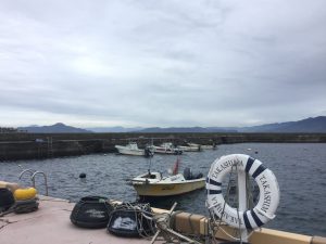 FAE3FC5A-4EEF-4528-8B68-88AAAA6A8FA9