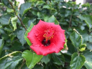 4D45816F-E3D5-4F9D-873F-8F06EEADC1EB