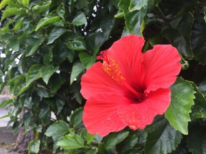 6F6A07AC-D548-43EA-88A8-8C3355D3969A