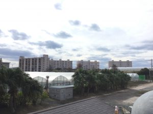 AFE017D9-0905-4950-A7AC-6C7E639CB8C9