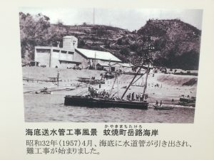 C98137D5-09FB-4A2B-AACC-3BFD53517125