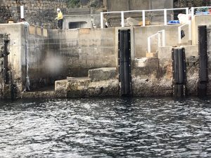 E8D1BCE8-CD60-4D4B-9085-F651569EE342