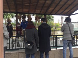 EA3910EF-E15E-458F-B1E8-D08E612C8408