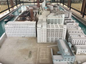 CAFFAD85-B307-45F3-BD4A-5CEBC6254581