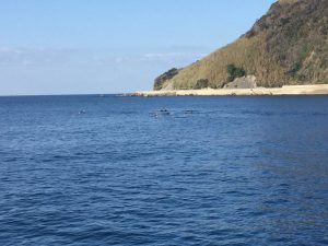 E6F1F1F9-5565-4EED-B89E-3D63D3D71F6D