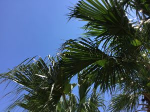 D7120396-8C15-4F70-813F-6608D6974BD0