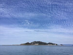 D21931B4-0649-43DD-A9A9-B1B2A9894905